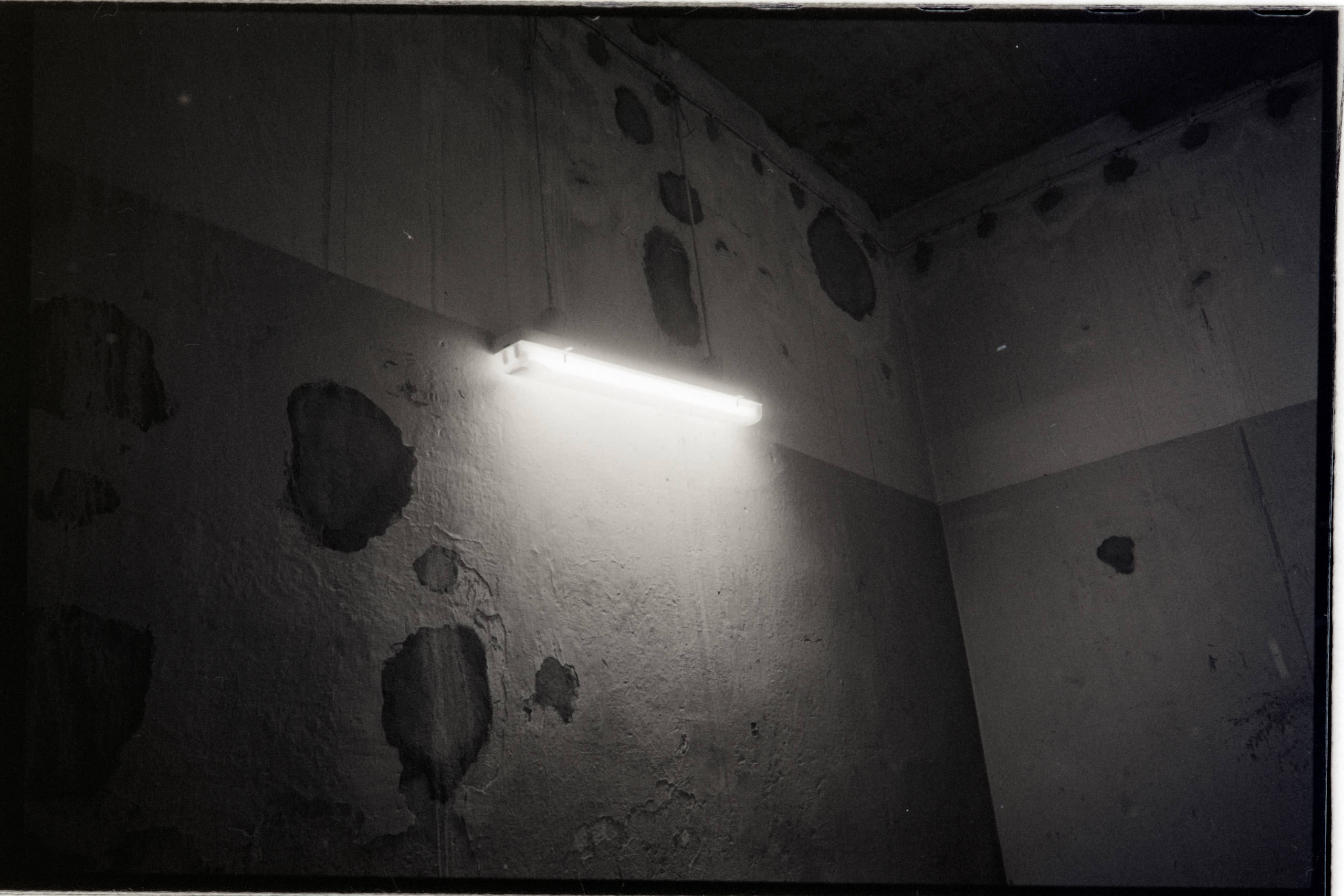 AHP FilmScan 240731 0760